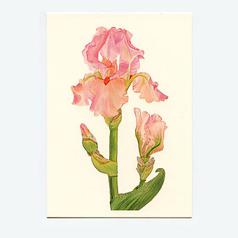 GREETING CARD