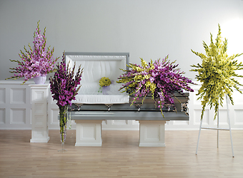 The Gladiolus Collection